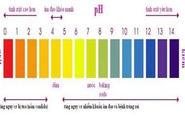 Độ pH của âm đạo